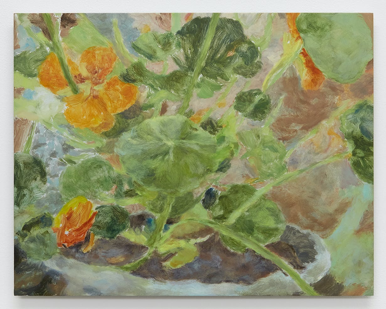 Nasturtiums, 2024. Oil on aluminium, 28 x 35.5cm